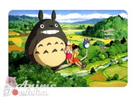 Totoro 18